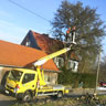 Baumfällarbeiten