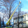 Baumfällung / Baumschnitt mit Hebearbeitsbühne