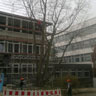 Baumfällung / Baumschnitt