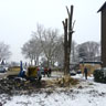 Baumfällarbeiten - Häckseln von Ast-, Strauch- und Buschwerk