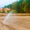 Bewässerungssysteme / Gartenbewässerung